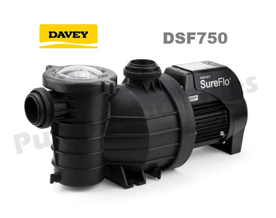 Davey SureFlo DSF750 Pool Pump Single Phase Pumps and Pipes
