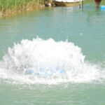 Splash-2008-photo two
