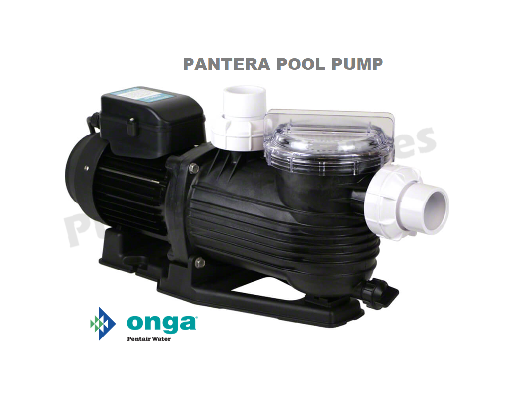 PPP750 PPP1100 Onga Pantera Pool Pump Single Phase Pumps and Pipes