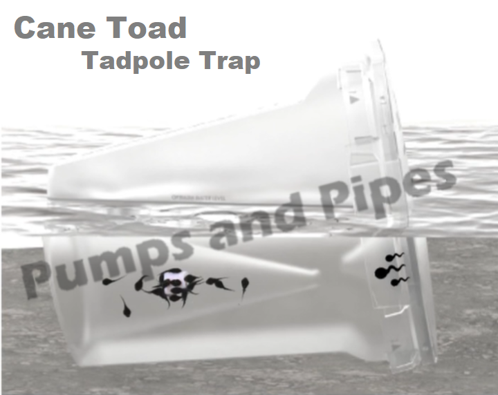 tadpole trap